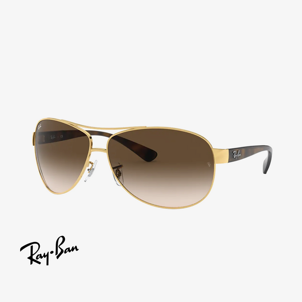 Syze dielli Ray-Ban RB3386 67 001/13