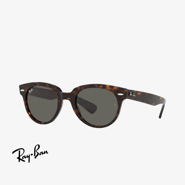 Syze dielli Ray-Ban RB2199 52 902/B1